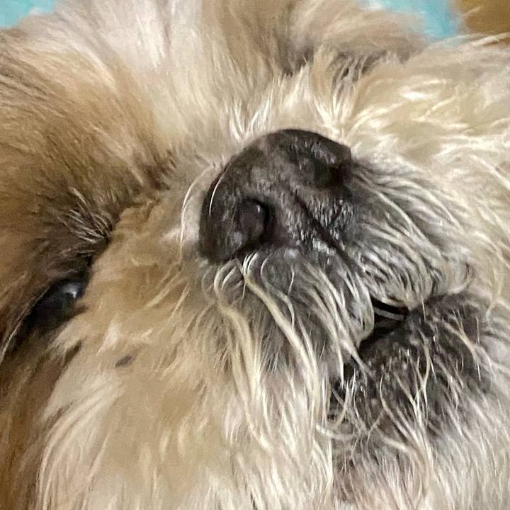 071d3f02 eb2f 45df be2e 95ca336a9134 1649329188412