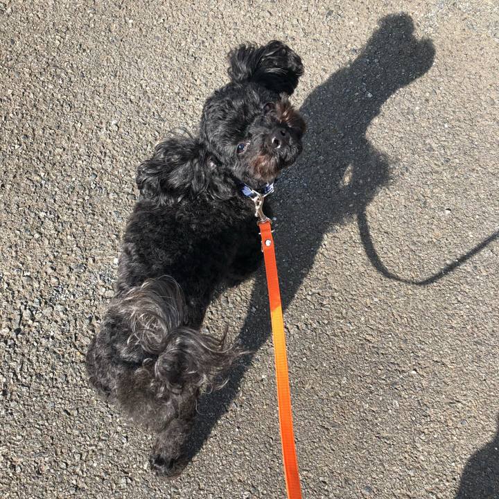 071d4899 628f 40ae 8b24 3a1fbc446bc3 1581648110568