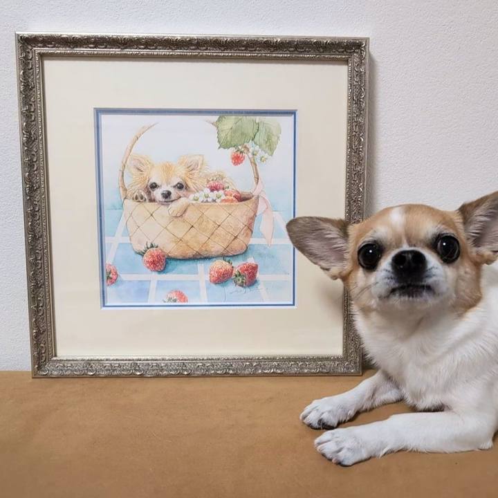 071d5761 867a 4590 abd0 71b20c471016 1744970312682