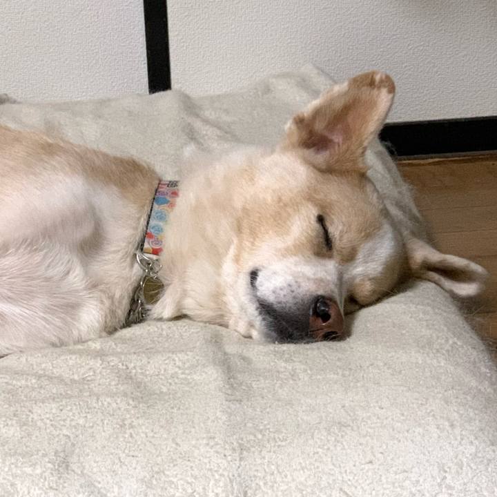 071d6fc9 4d4d 4064 876d e9da7e71bb1d 1574865208596