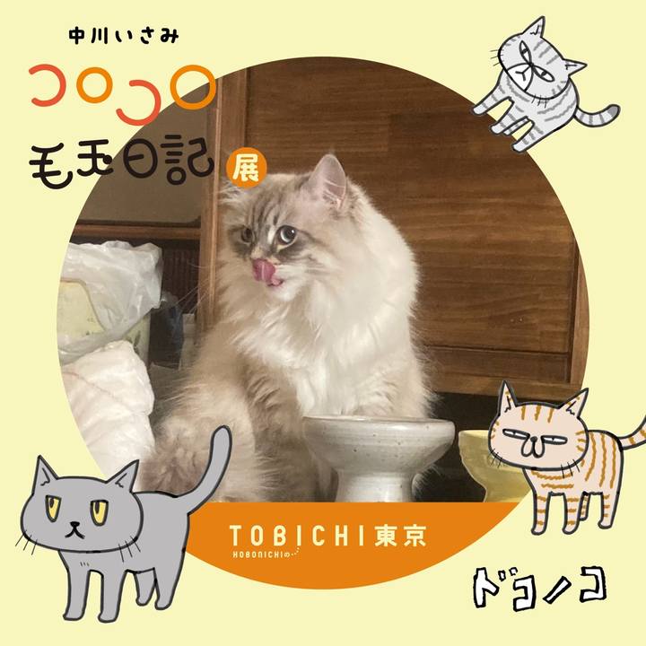 071d75dd 6e7e 4efd 8bdd ff7b776e4727 1740432939421