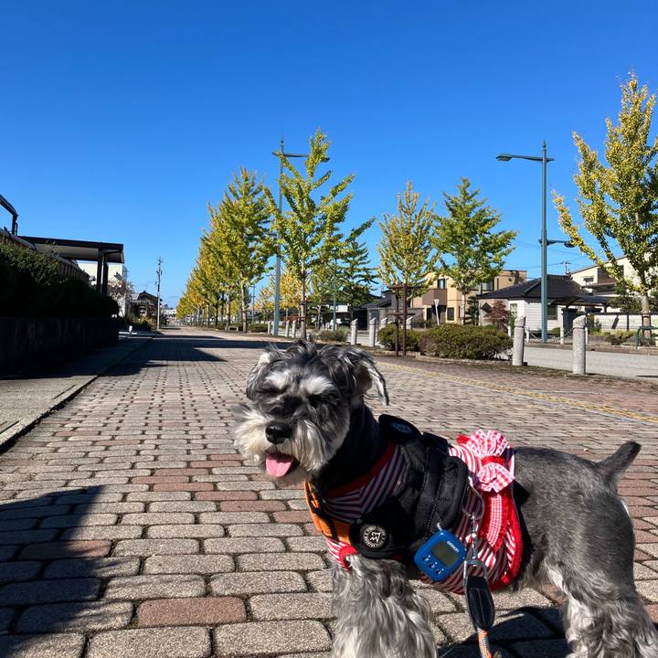 071d81bd e589 45e3 a27d e4bbb8090c73 1731128967814