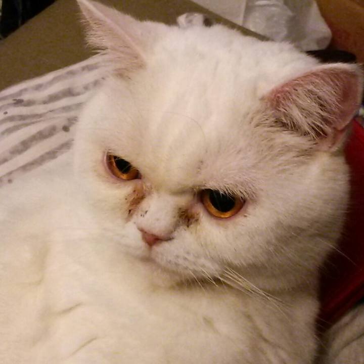 071d97af 4873 4bf0 aca3 9012b7f79bbe 1577105615985