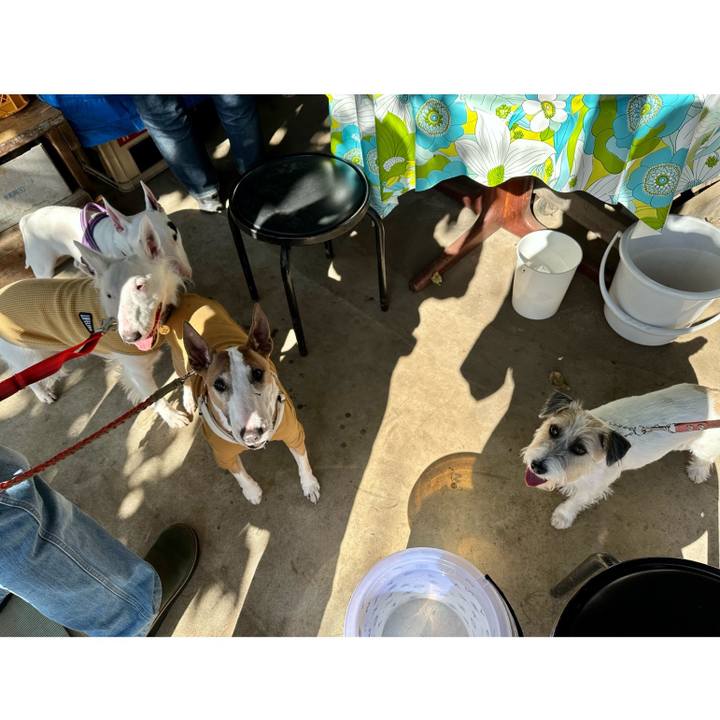 071dcb0d 6920 451f ba68 dbd34c0f64e7 1697551036919