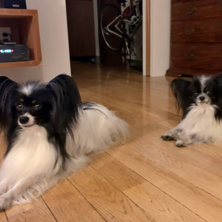 071dcd0a 7688 4075 abf5 36c6202c29c3 1589201767266