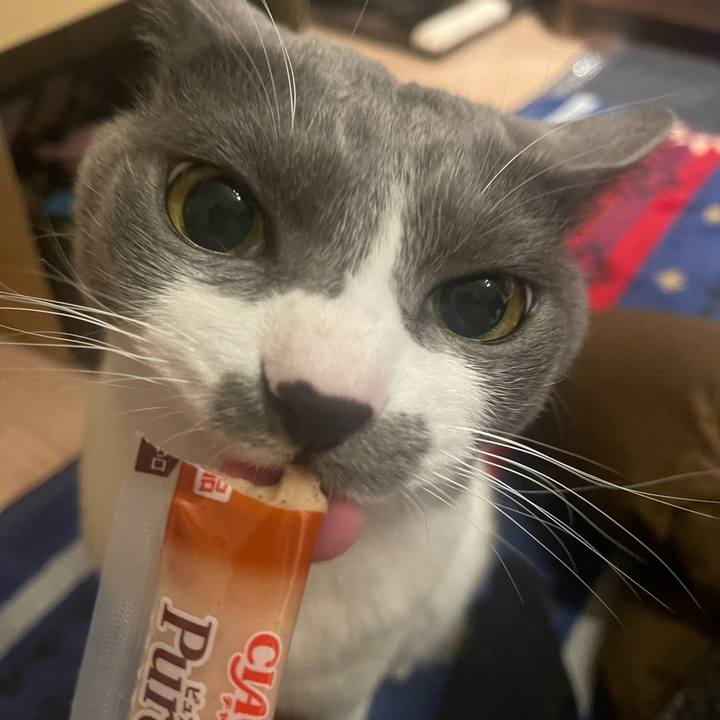 071dfcea 1122 4822 aae6 9f19cf5edc32 1668947798435