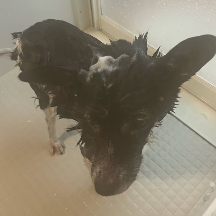 071e00e9 7db3 4a48 8e0e 9af0281229b9 1767099167356