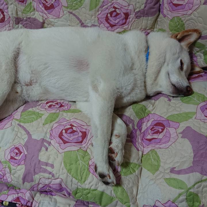 071e3a15 454b 48f1 95f5 ba95b802b809 1591280405921