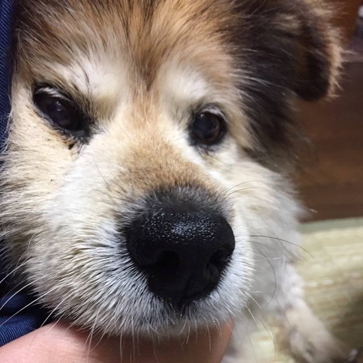 071e3eff 4a4f 437f a5c0 46e364f4df77 1601160313688