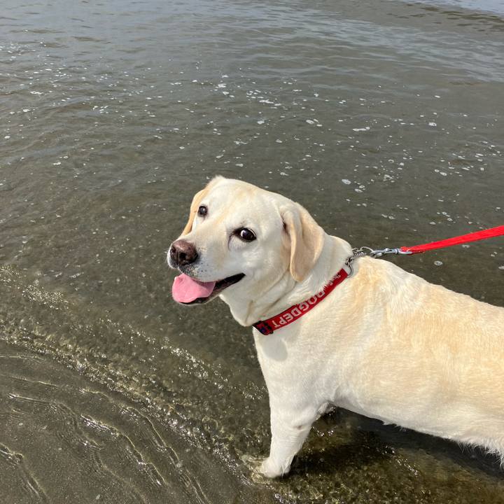 071e77d1 778d 46d3 95dc af17d239ce02 1661379074454