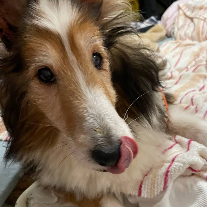 071eb427 2319 441c 93ee 327881ba7ad5 1641797551071