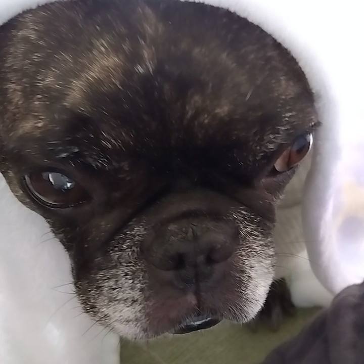 071ed6bf e7d4 4144 80db 6a388e212569 1733668141683