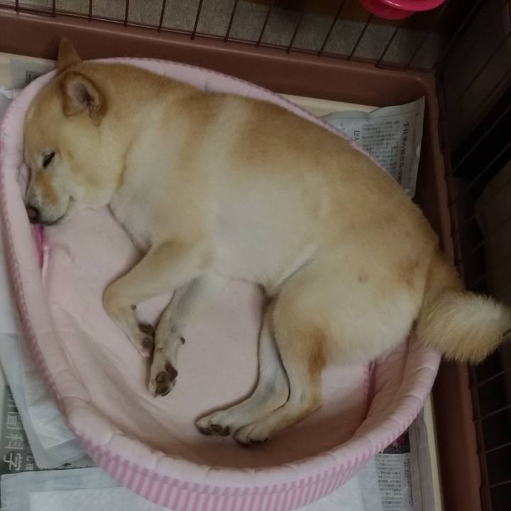 071eda69 f7e3 4754 878d 29829ca21e22 1598618840062