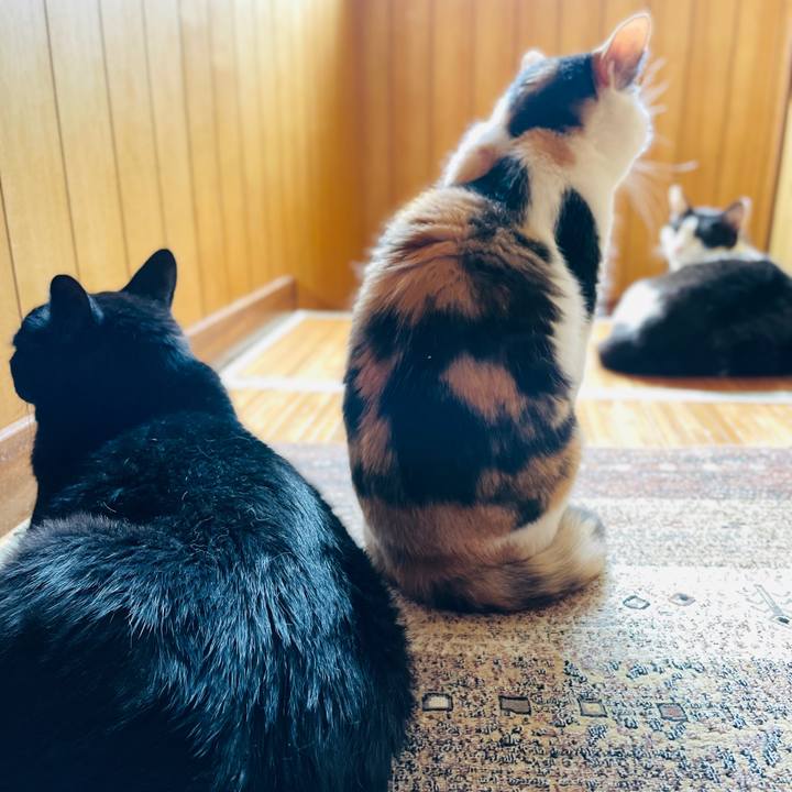 071ee879 d907 4da9 9b0a aa99872799e7 1661049639394