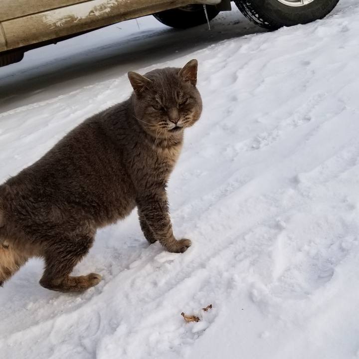 071ef2c3 58fe 438f 8e9c e143b43ba9cc 1547764792305