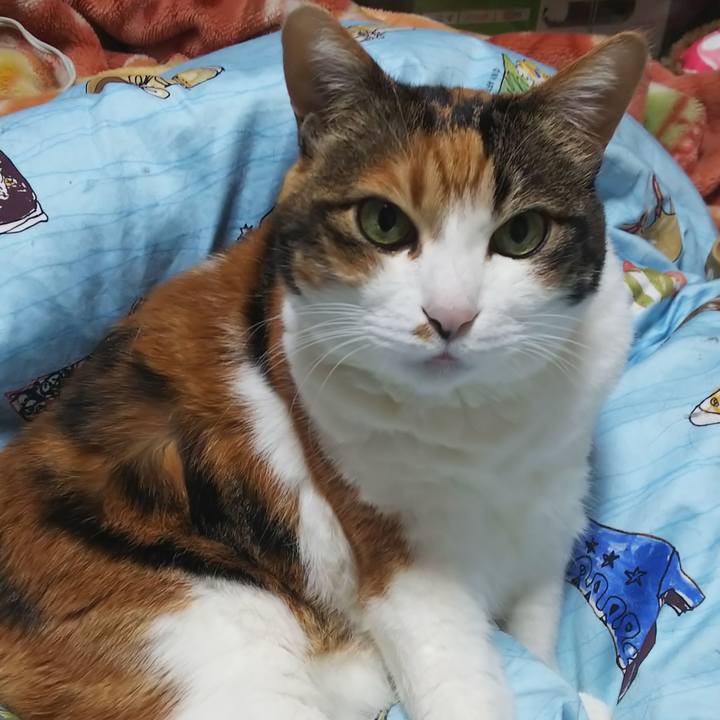 071f2004 78ef 48d9 a3a4 7b0828a01f6d 1585353794733