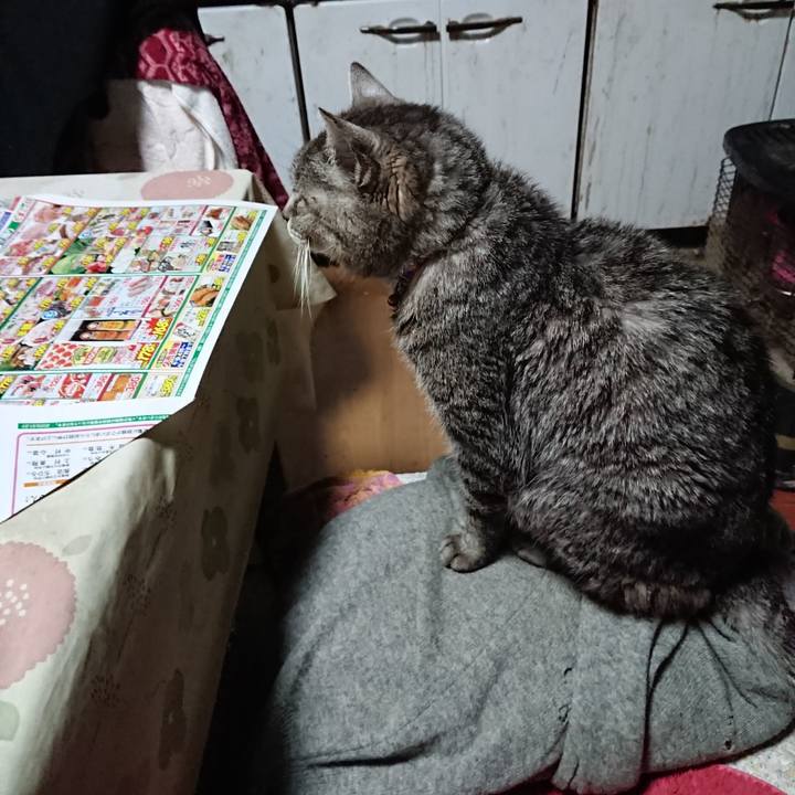 071f25c9 ab17 4c17 ba11 6458230eee66 1578346570460