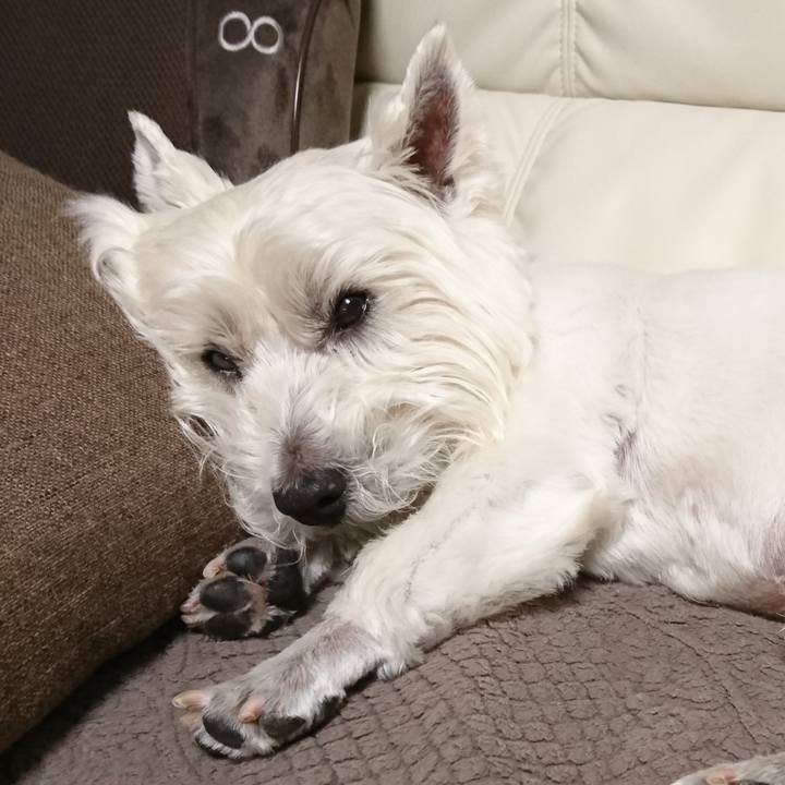 071f3004 81d8 4432 8dcd a3c2d6a1261d 1528031900839