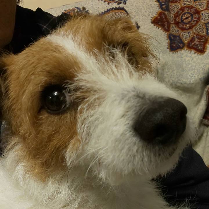 071f3f15 4739 4bc6 9a4a 31b5f19b10cb 1550829967873