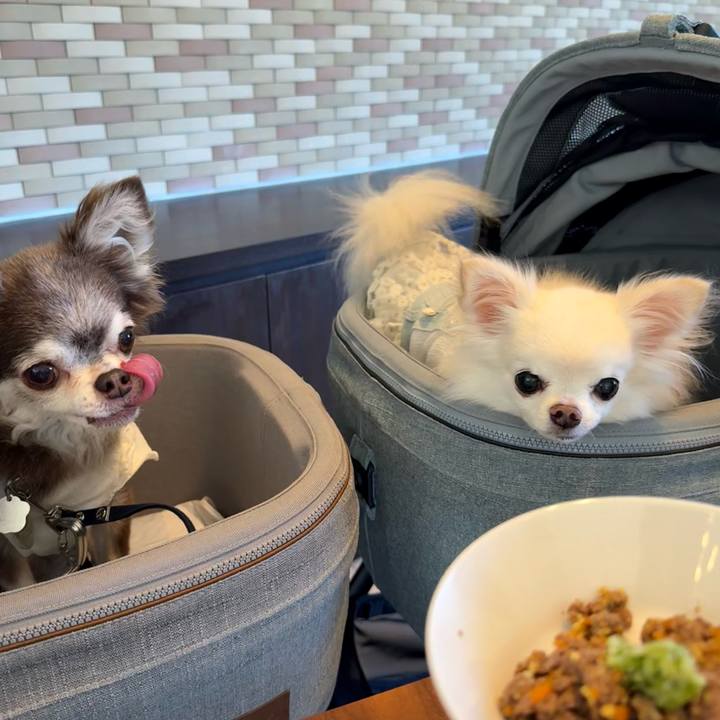 071f4fcf 8947 4d10 974f 6ec138eddd6d 1757126124757