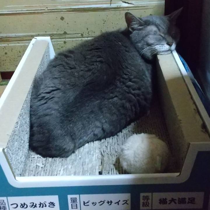 071f7176 feb1 405a b2fb fa3dc5838d16 1666274135123