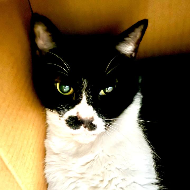 071f77bf d6c8 4db3 8bc9 d633b0cca93b 1725088406836