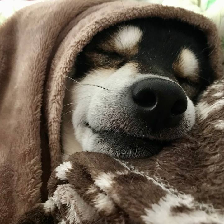 071fbba1 f5e6 4fe7 bf74 085be331d061 1571355005365