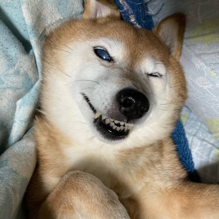 07200ca4 130a 4408 8967 2be0c97e6fb0 1737333576920