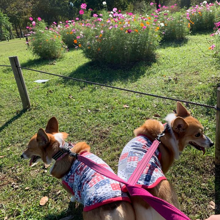 0720b5ee 1834 456b 9c9d 982a255c3f97 1572934564299