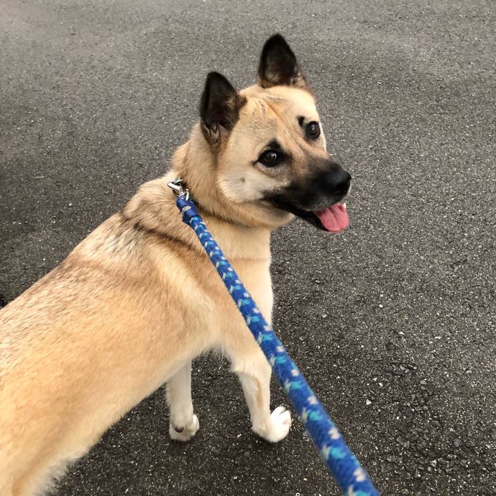 0720c19b e15c 463d befa 9f2540074b3a 1528461515771