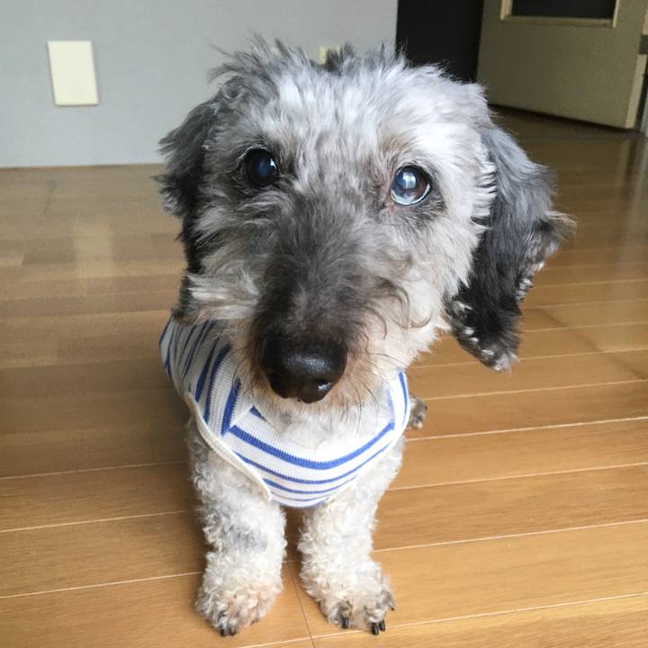 0720c46d 7f59 46e7 9ad6 f3aac18ee082 1588050632357