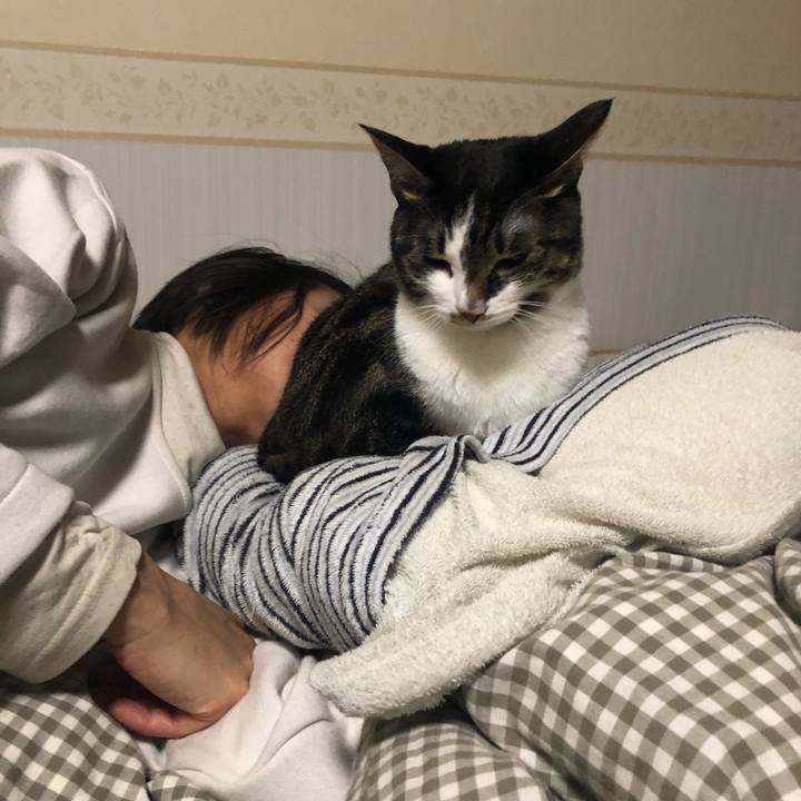 0720c63b 6cda 486c 8c1f cbdacd9d6e12 1546511052453