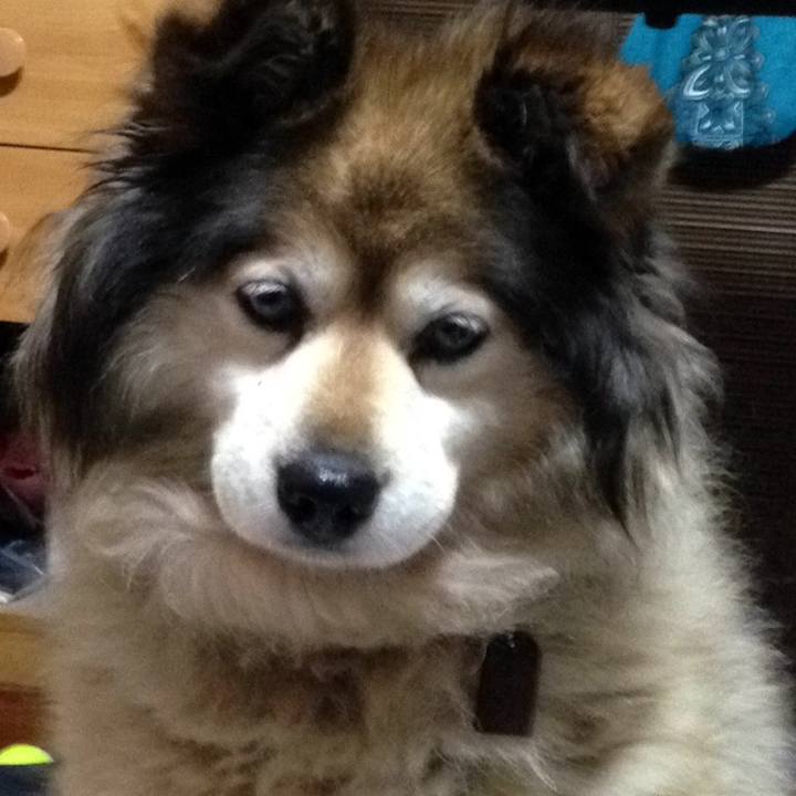 0720d5fe fb8e 423a 8493 ea3ea1ae066a 1594650525773