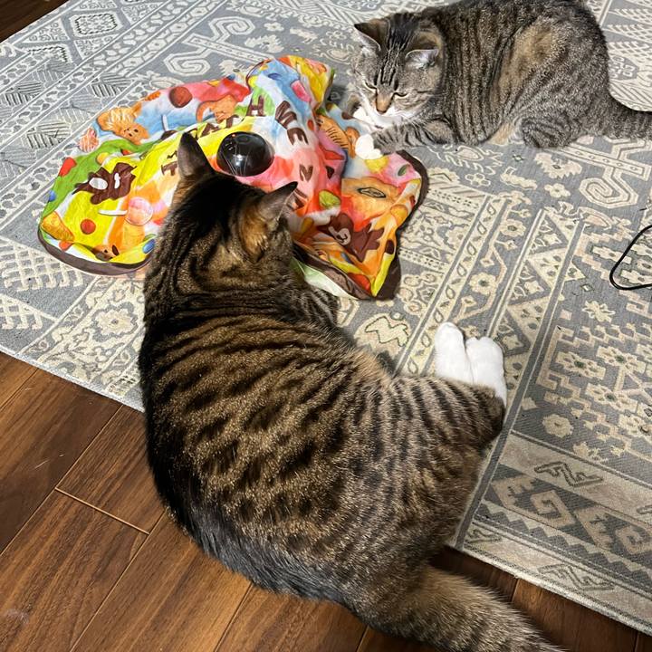 0720e570 a754 439d 80aa e8fe353c772d 1712067625804