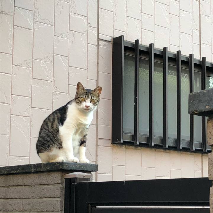 0720fba0 17e7 495f 8a26 5240189966cb 1533846842406