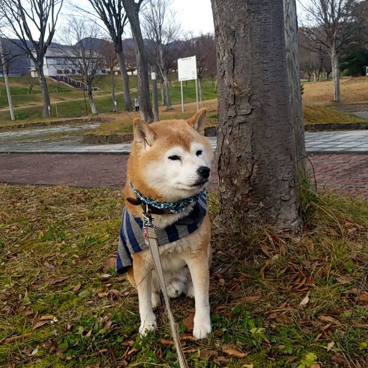 0721477a 83ab 4a61 9ec2 6d7b14f6e3df 1702533195368