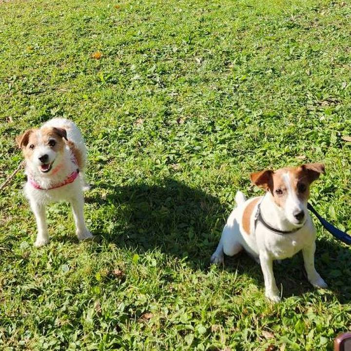 07214863 2966 4ee3 841d 5aaabe0ef9a0 1732415297440