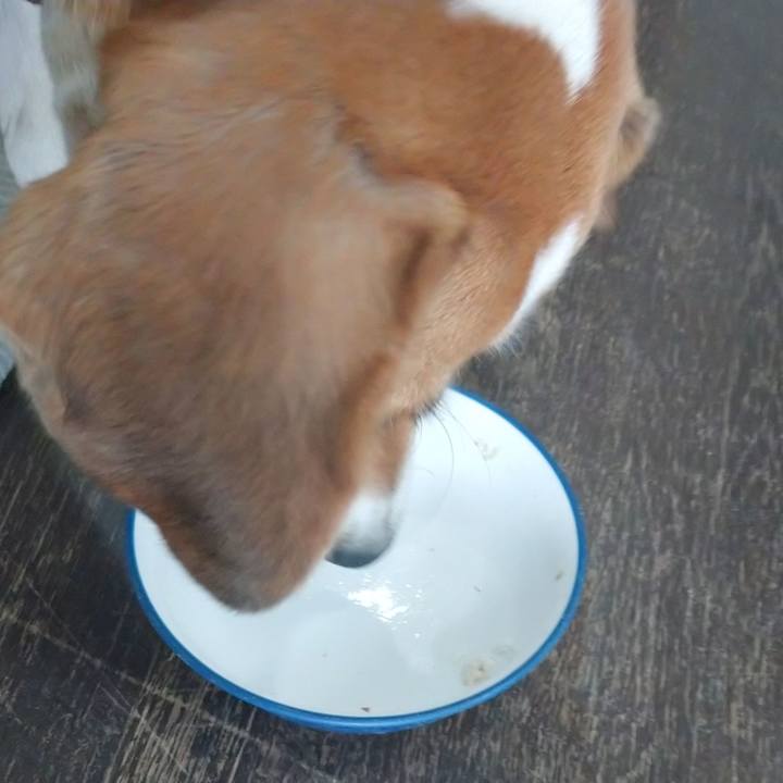 07216826 6b17 428a b023 761a6fe87cef 1600774685347