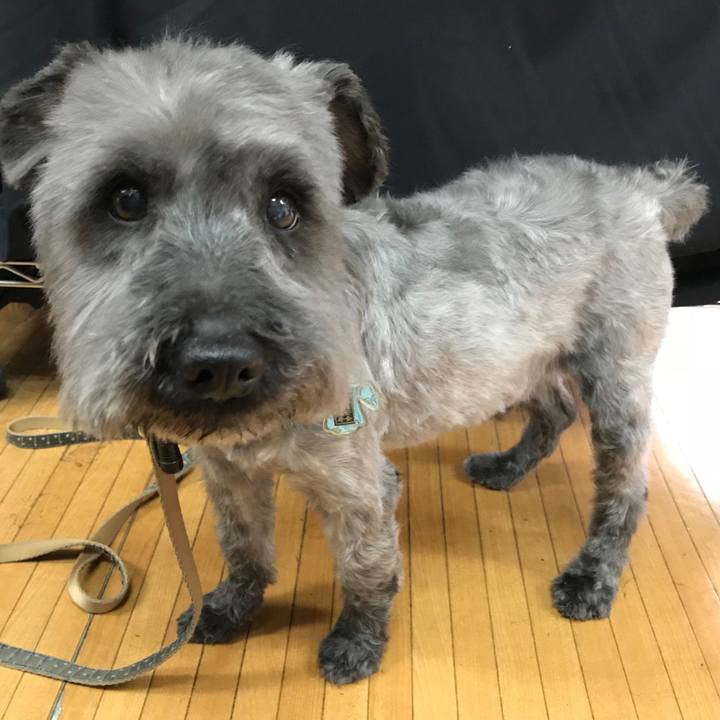 0721742d ad9c 45e4 b39a 2bb00b5ba4fd 1523600178580