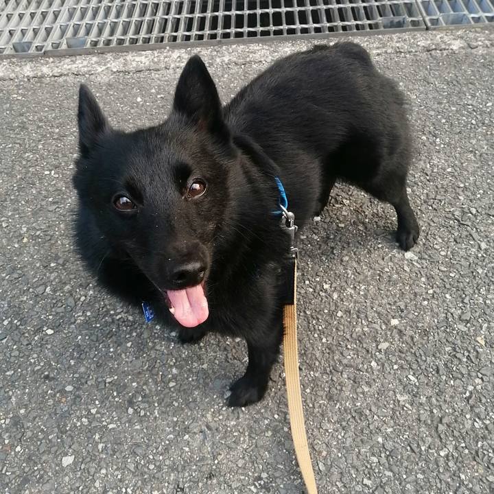 07219a98 8852 40e0 a1aa 6ee33fb5b32a 1627593136267