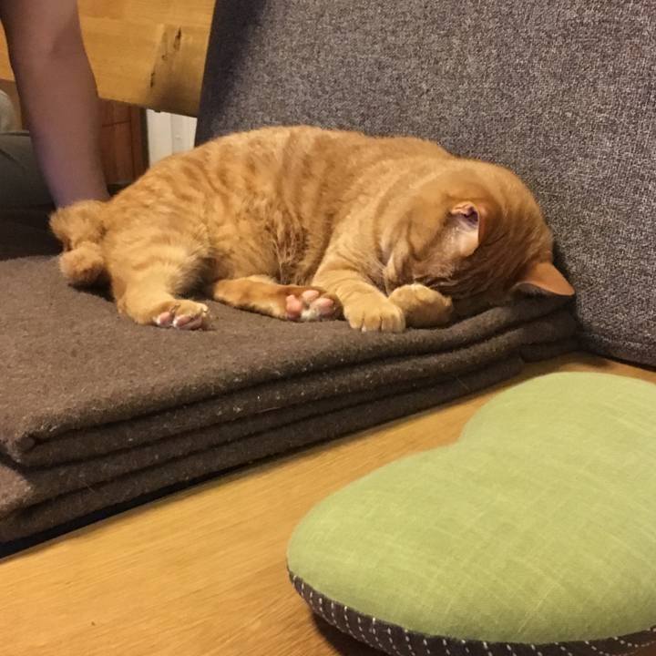 0721a1ba 40c3 49c1 8462 f57da4a4190e 1523681569608