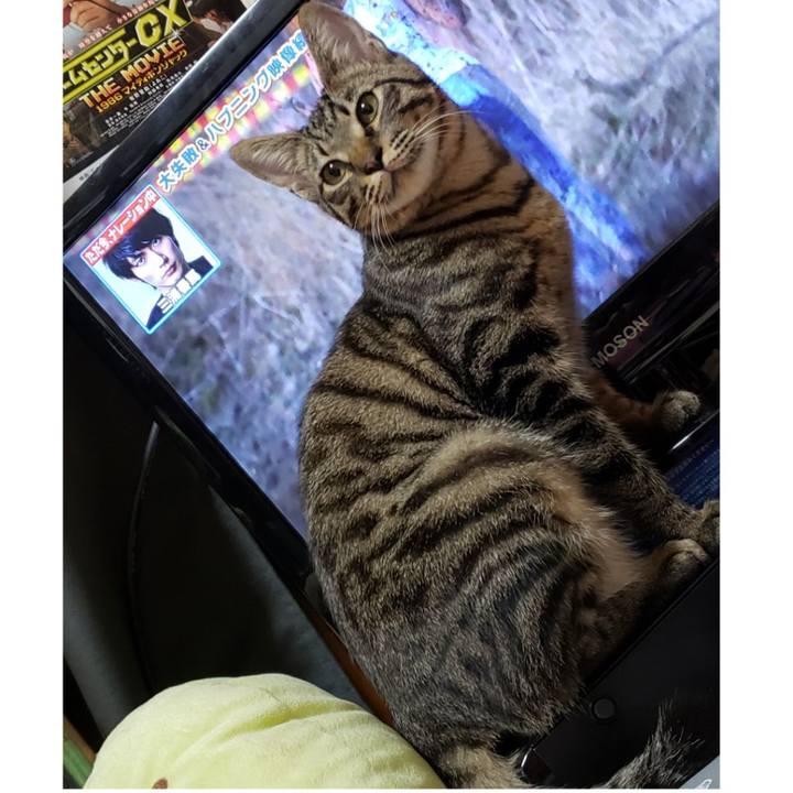 0721d552 8461 4bf4 9c90 86a661ec1765 1544616043506