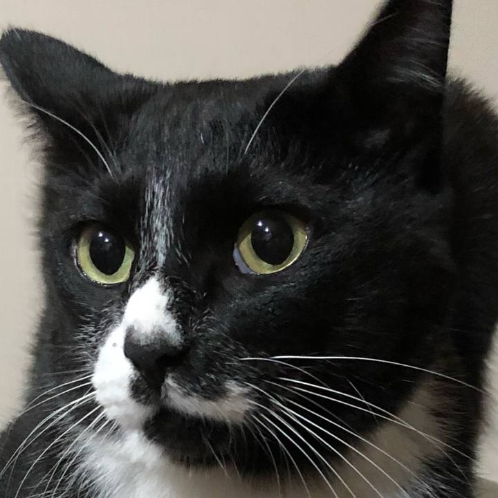 0721e1c5 71fb 4d39 b514 bfedd4fb4de9 1603506377199