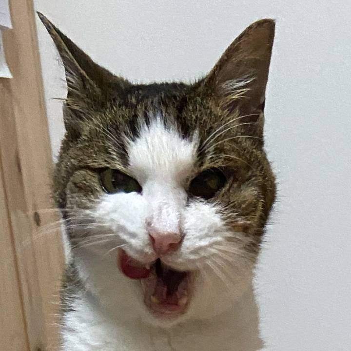 0721e30c 86ff 4565 896f 8a8853c09725 1593171950221