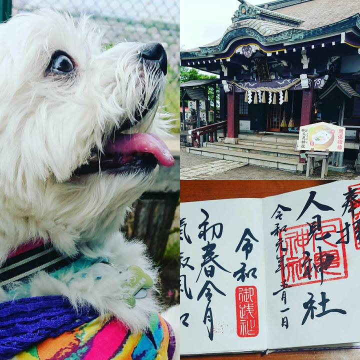 0721e530 b3ba 46ef a2fd 5f80781c25fc 1556802668347