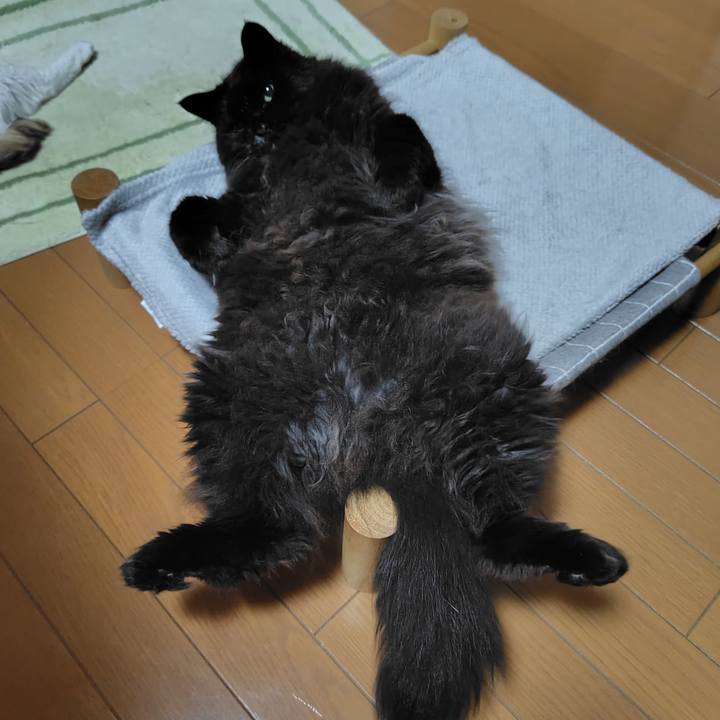 0721e827 377a 431d 81f5 a6f325842003 1744294593396