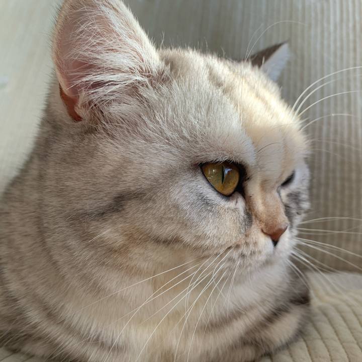 0721fdef b042 4839 a058 9de55537c433 1707606781818