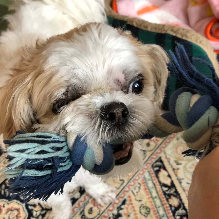 07221681 8489 4a2b b07e 31c3b4fee944 1575928041181