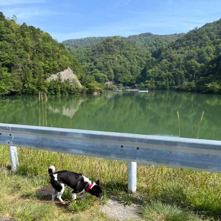 07225f1c 5a36 443c a4cb 82c00a89d48c 1684373735203