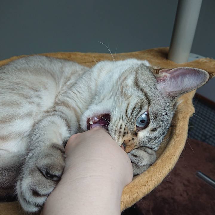 07228156 3024 465b 87b7 7bf432330d86 1557504721620